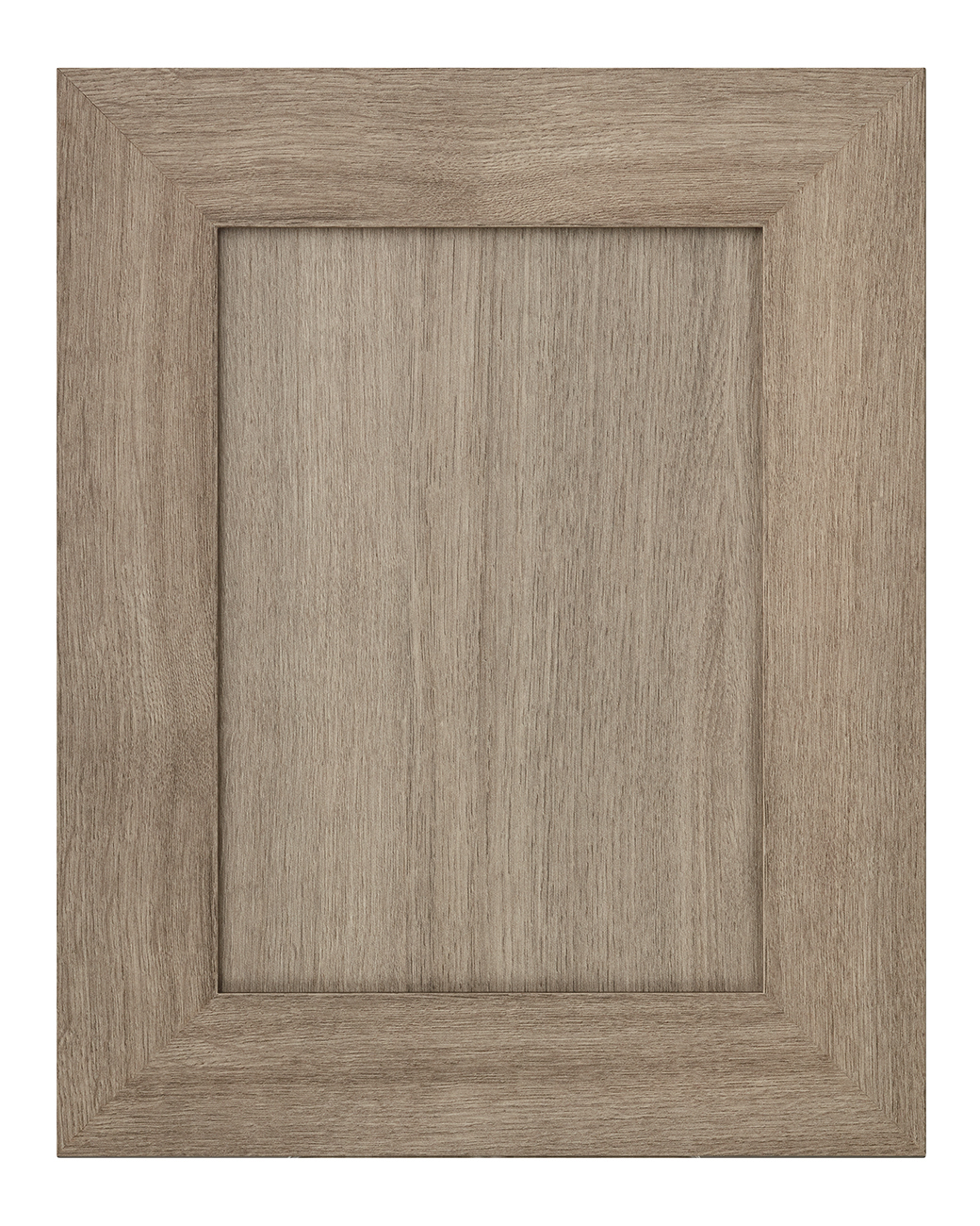 The Chameleon | Tafisa